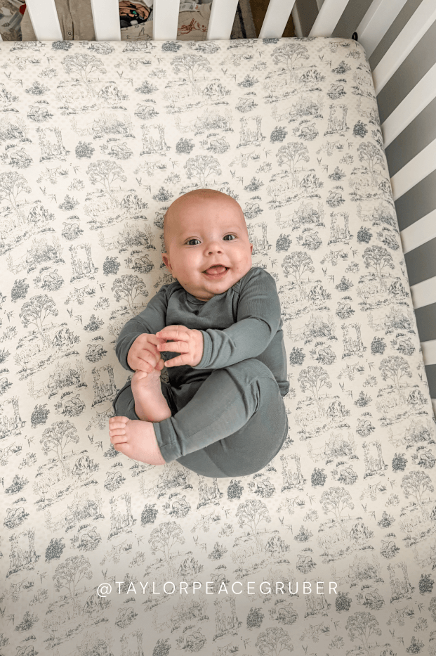 Bleu Toile Crib Sheet - Image 4